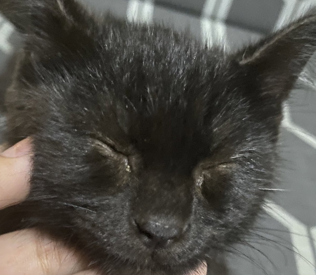 rjnslunar's tweet image. here she is :&amp;gt;&amp;gt;&amp;gt;&amp;gt;&amp;gt;