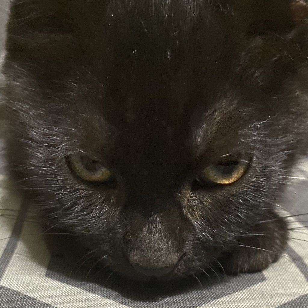 rjnslunar's tweet image. here she is :&amp;gt;&amp;gt;&amp;gt;&amp;gt;&amp;gt;