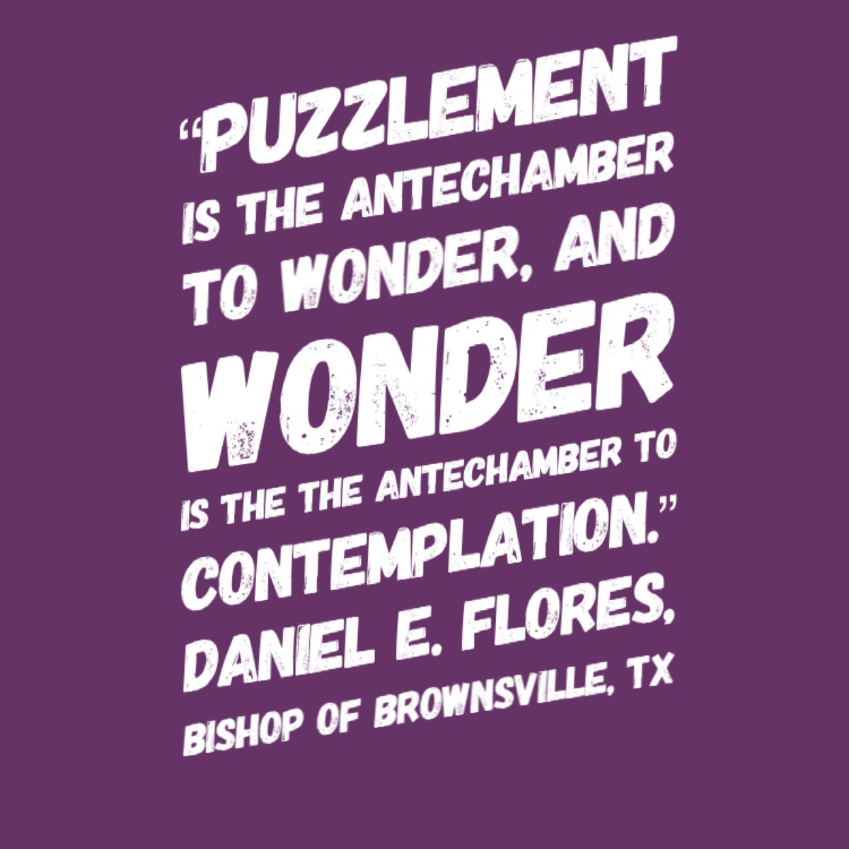 allhallowsarts's tweet photo. “Puzzlement is the antechamber to wonder, and wonder is the the antechamber to contemplation.” Daniel E. Flores, Bishop of Brownsville, TX #WONDER #allhallowsway @bpdflores https://t.co/sAQpeIlfOW