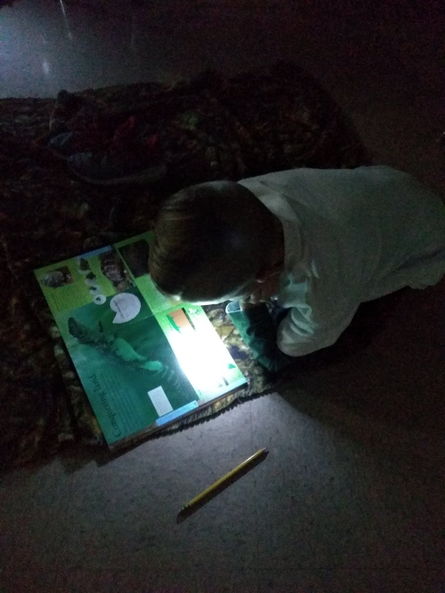 AWilliamsonUES's tweet photo. Flashlight Friday! https://t.co/8hTm6HO8IT