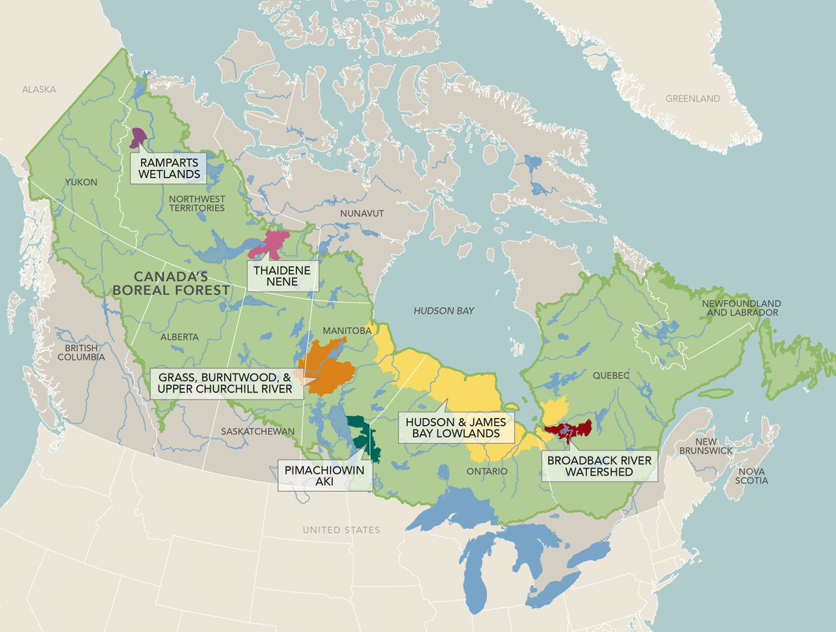 Large wetlands (check out map below) & built infrastructure like roads don't mix. The logistics of how to access these peaty/muskeg areas dominates my science. We know these areas are important to study, but how do we get there? Sometimes the answer is we can't. 3/