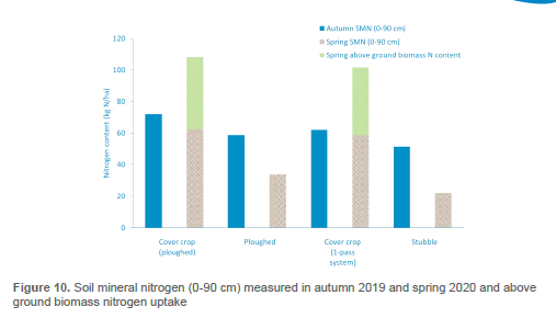 The trial showed that the cover crop areas effectively mineralised the N in the soil and reduced nitrate leaching. Soil structure improvements and earthworms numbers were also assessed in the four areas. 2/5