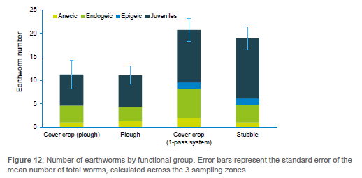The trial showed that the cover crop areas effectively mineralised the N in the soil and reduced nitrate leaching. Soil structure improvements and earthworms numbers were also assessed in the four areas. 2/5
