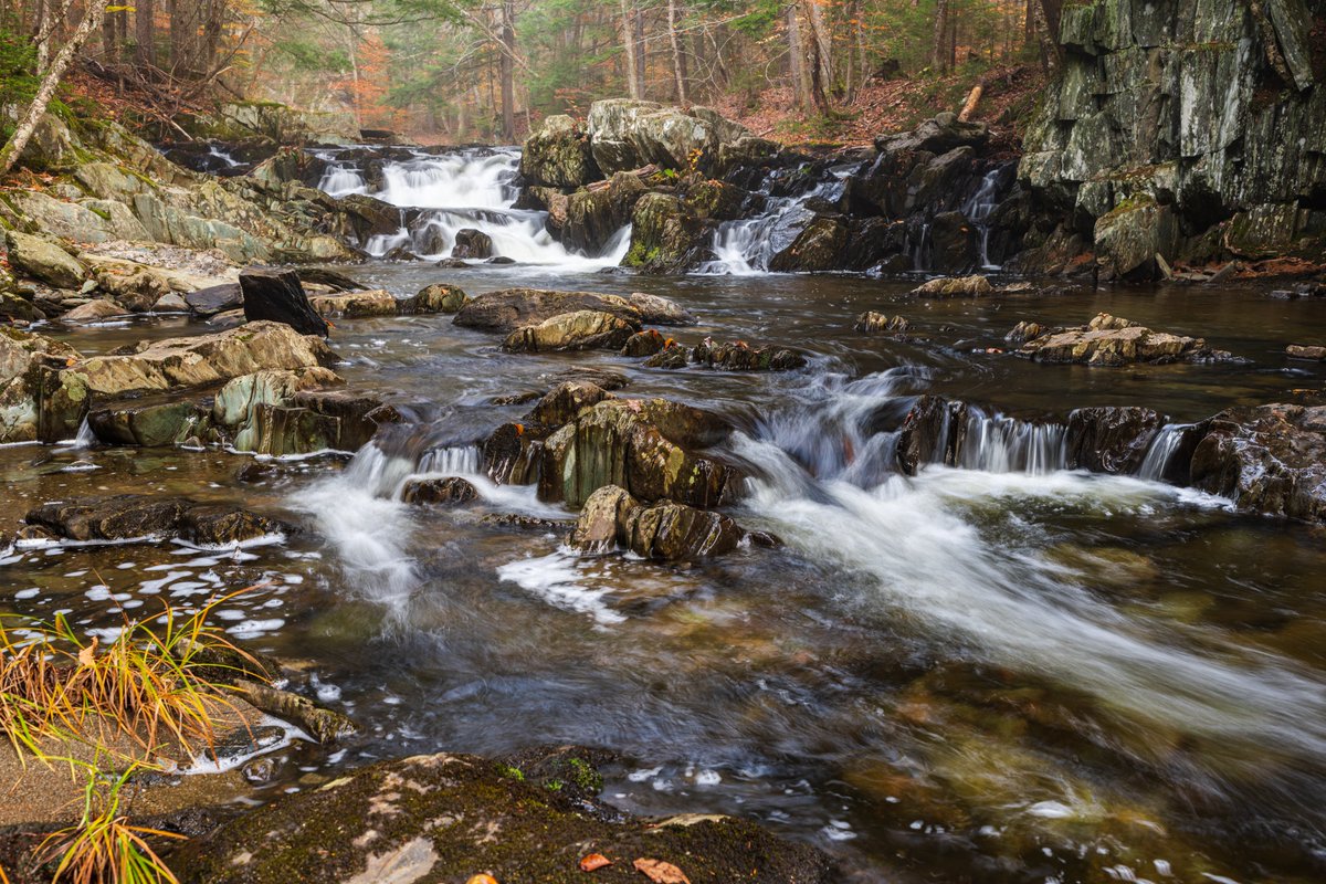VT River Conservancy tweet media