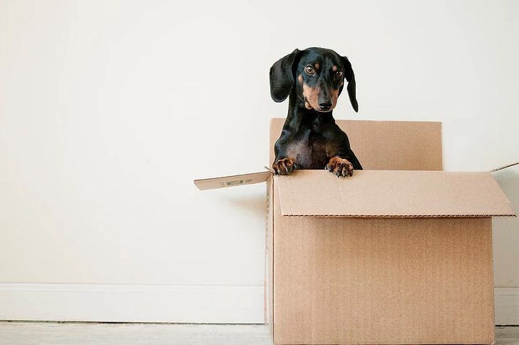 livorentals's tweet photo. What to Do When It’s Time to Move Out

#livo #propertyrental #propertymanagement #rentals #property #movingout #moveout

Read more: https://t.co/jbxhNG2bby https://t.co/CPTTKdmhDm