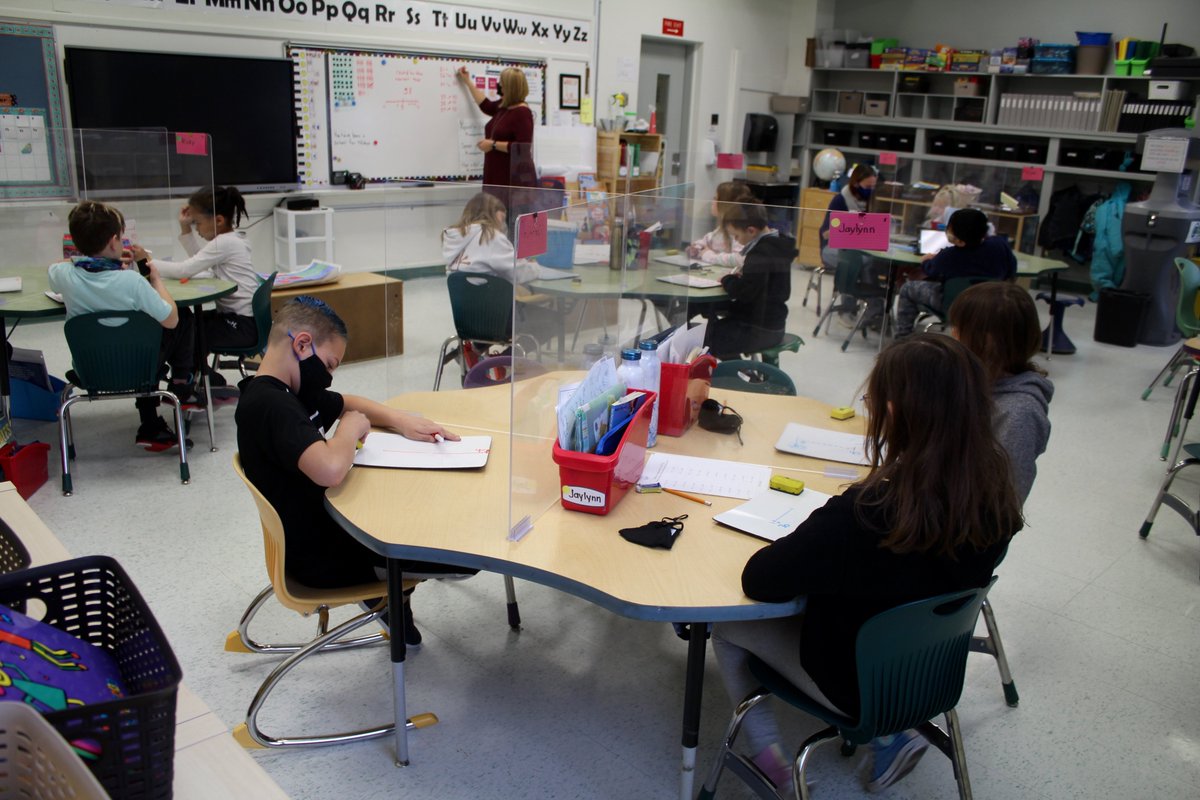 Maggie Macintosh tweet media