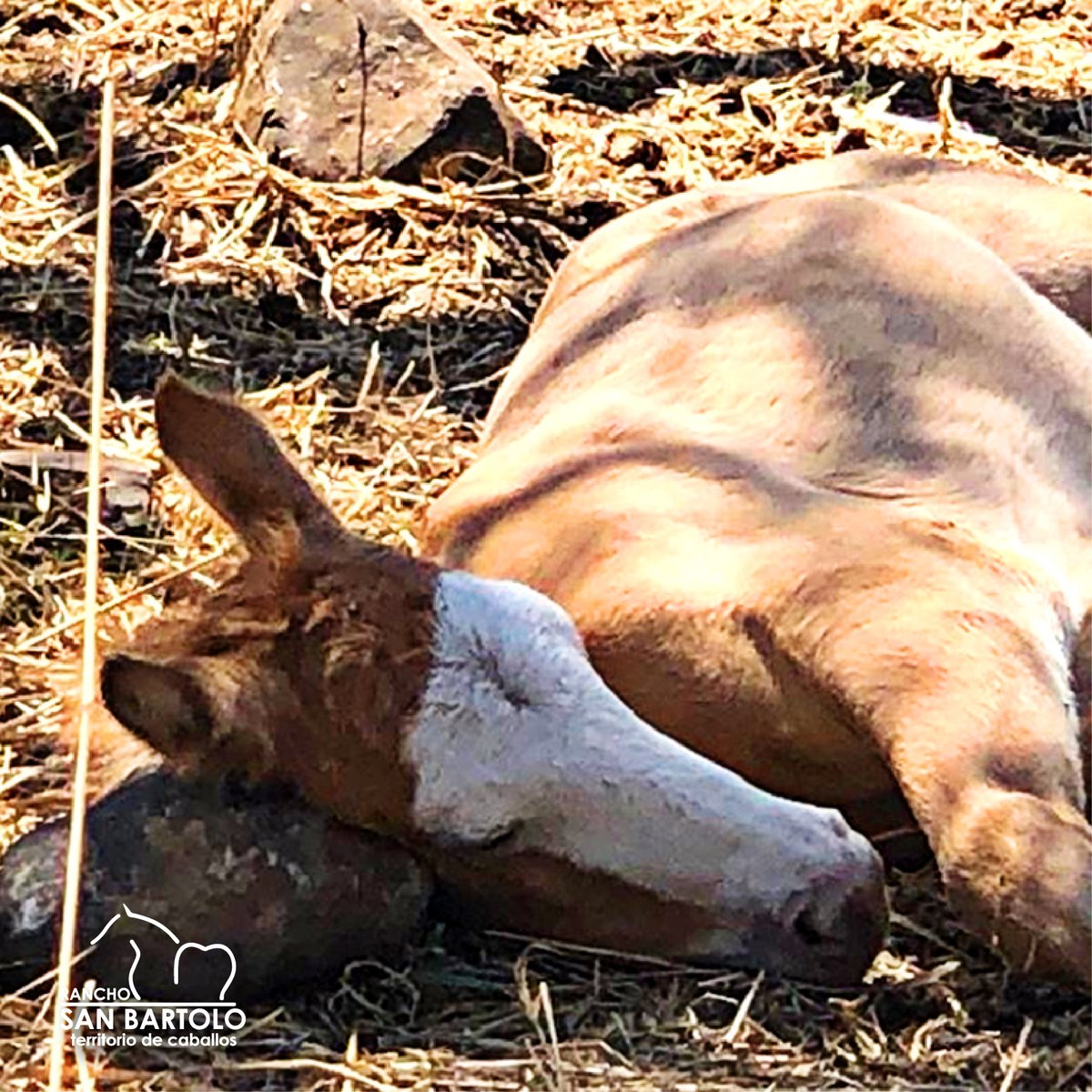 Un pequeño descanso