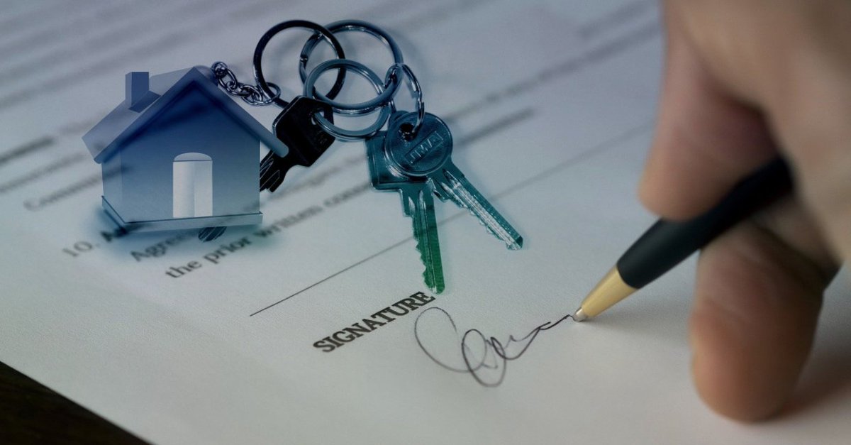 livorentals's tweet photo. Maximize Your Rental Showing Success

#livo #propertyrental #propertymanagement #rentals #property #success #rental

Learn more: https://t.co/6X4n9trFny https://t.co/tMmz8PtEwV