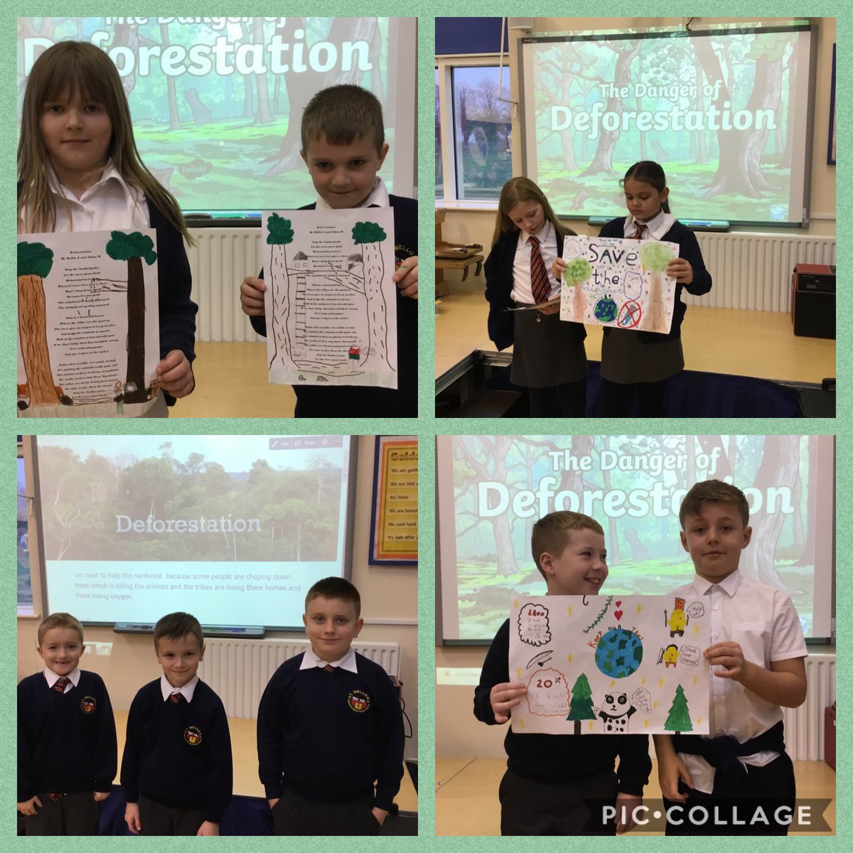 The children in 3A have been learning about deforestation in the rainforest. They worked well together to create amazing posters, presentations, poems and raps and presented them to the class to raise awareness 🌳🌲🌎