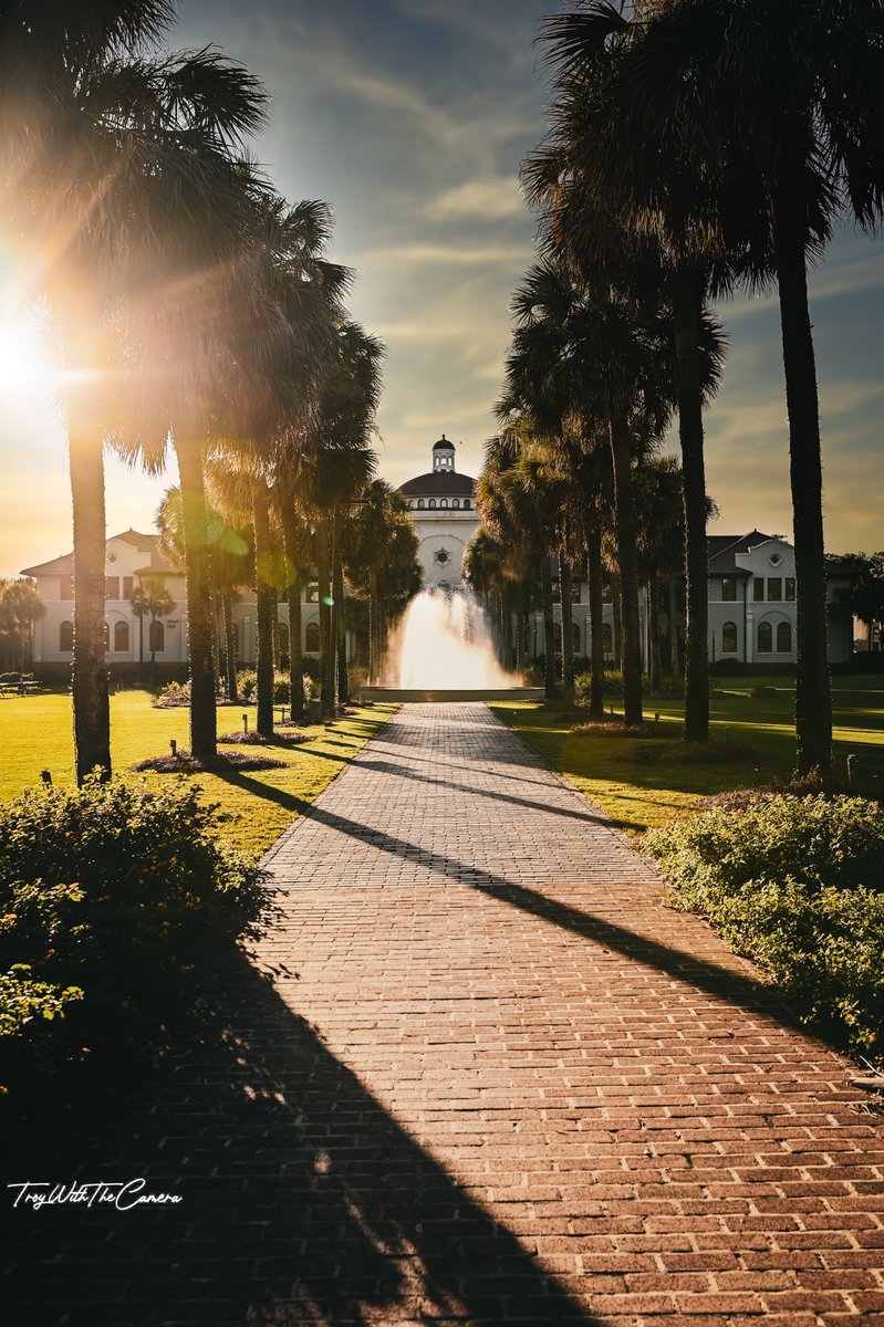 🔴⚫️ ALL HAIL #Vstate