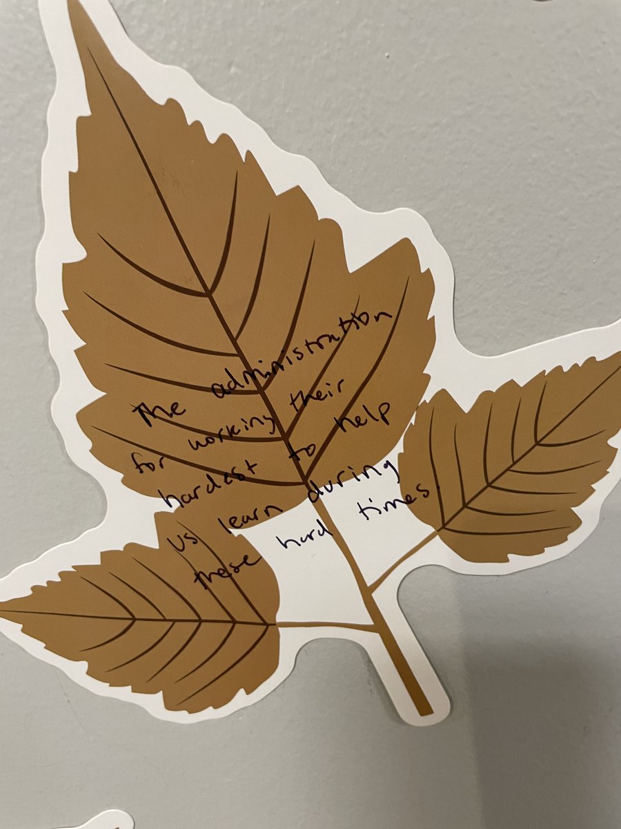 NazarethLGP's tweet photo. In this season of gratitude, we thank @NazStuCo for the gratitude wall in Springer Hall this week. Students and faculty were invited to share things they are grateful for. Their responses are a great reminder of the many blessings in our lives. #NazService #NazSpirit #NazUnity https://t.co/3AzUjxDzj6