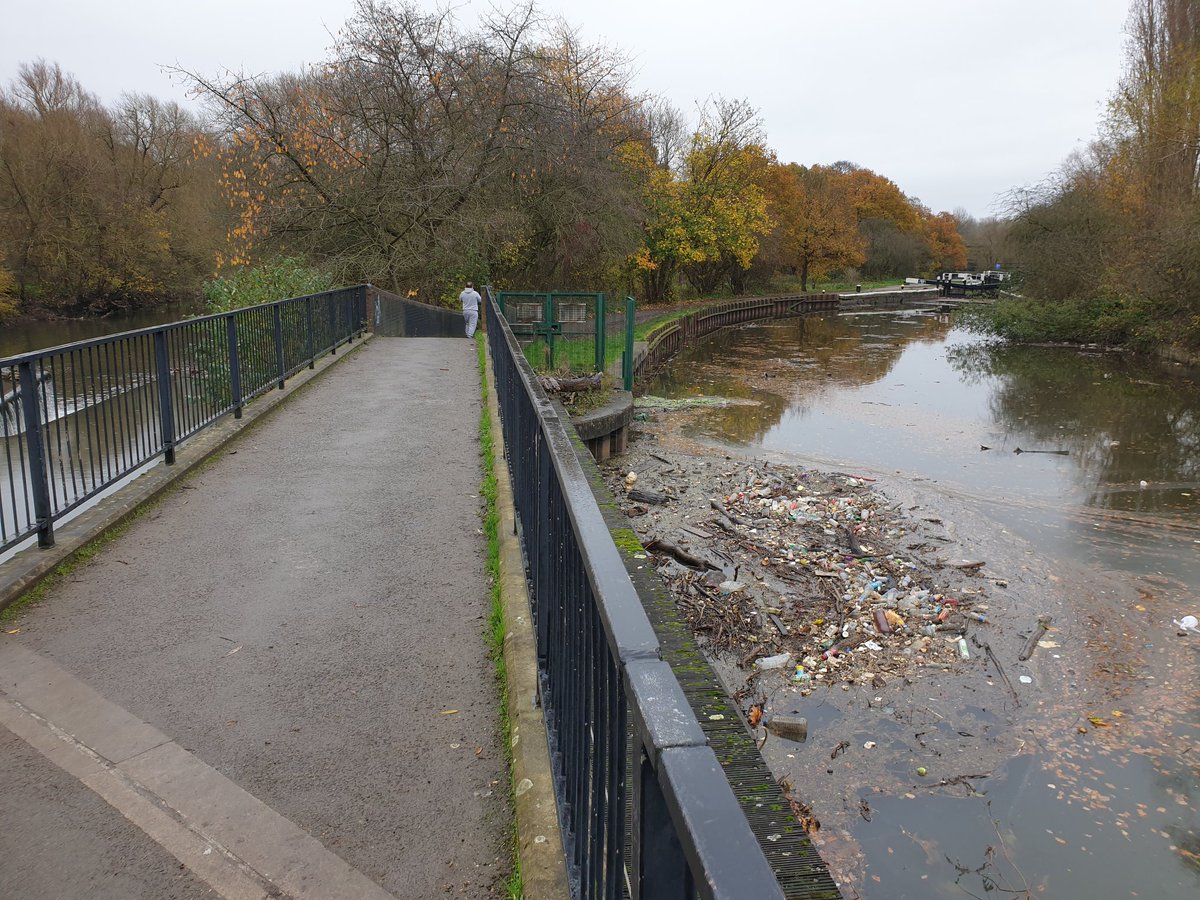 Ellen Softley tweet media