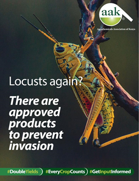 CropLifeKenya's tweet photo. FAO has warned of a new generation of locusts breeding in Ethiopia&amp;Somalia.This will cause new swarms to form by mid-December that are likely to move southwards and threaten Kenya. Early preparation can avoid the locusts moving into Kenya
https://t.co/d5rQUPJf12
#GetInputInformed https://t.co/7iGiTbKkqi