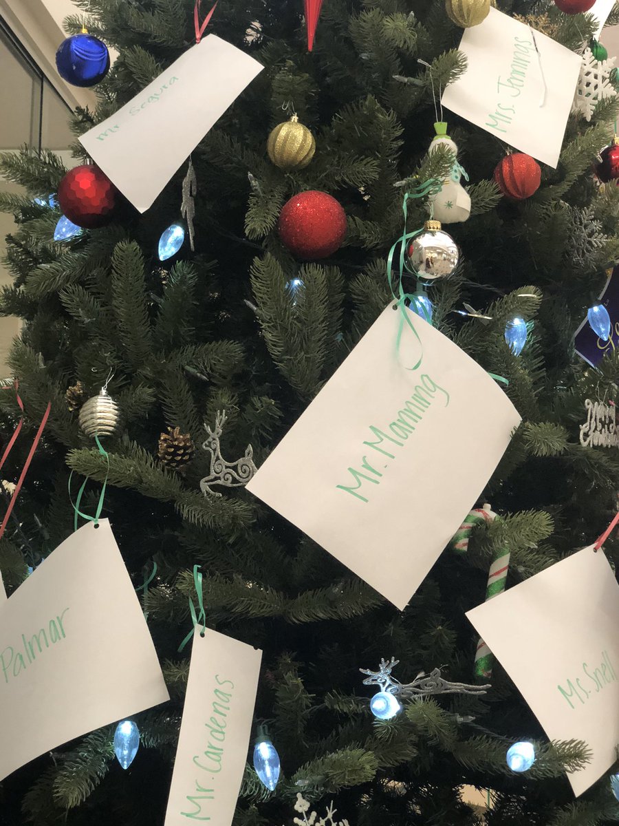 Caroline Cota, Ed.D. tweet media