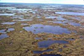 Sometimes we use helicopters for access. ~25 yrs ago, I was a new student trying to study permafrost thaw in northern . I was so excited, so eager. But I was new to the logistics, new to the science, new to helicopters & the only woman on the field crew. What could go wrong? 4/