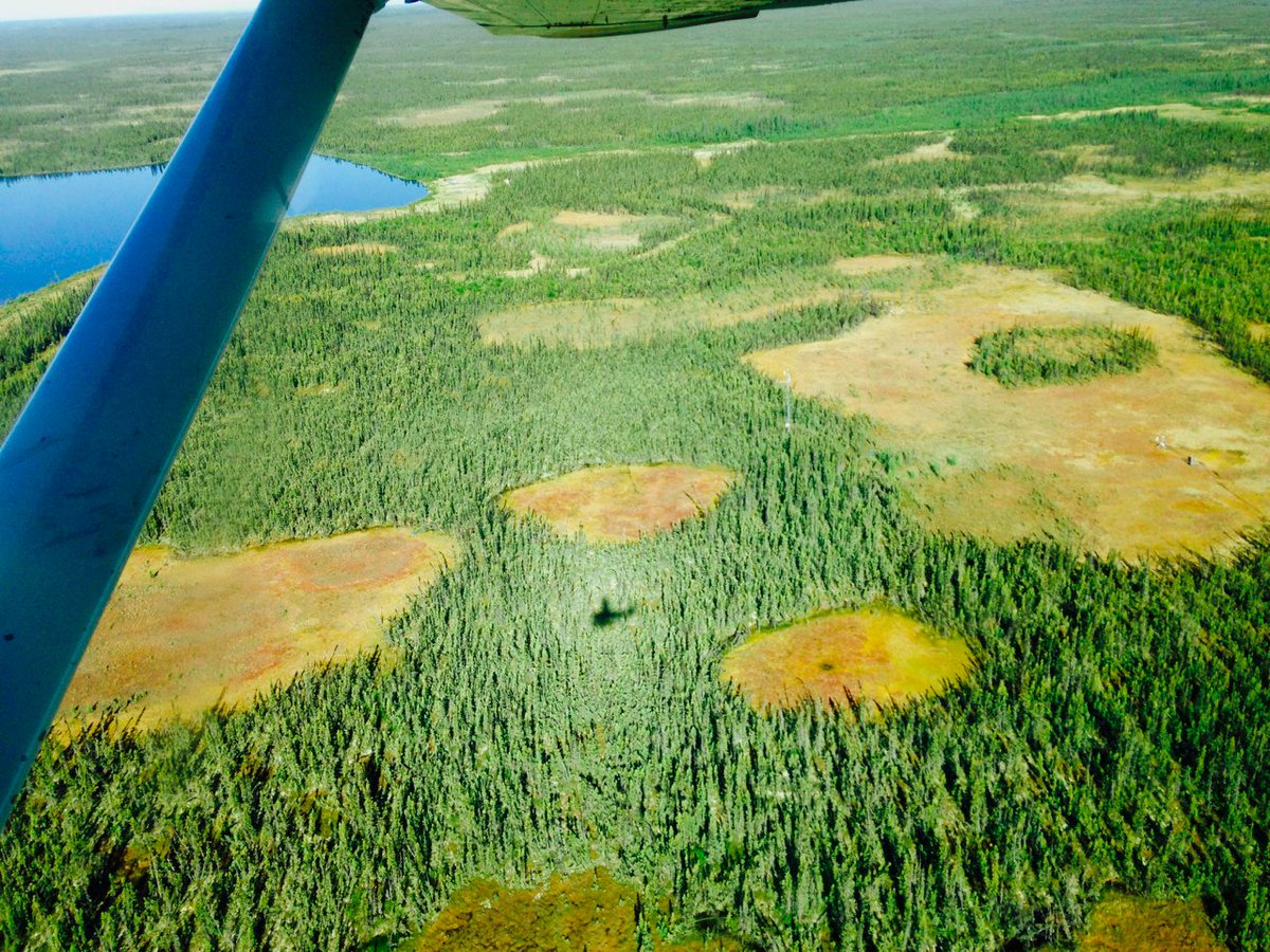 Sometimes we use helicopters for access. ~25 yrs ago, I was a new student trying to study permafrost thaw in northern . I was so excited, so eager. But I was new to the logistics, new to the science, new to helicopters & the only woman on the field crew. What could go wrong? 4/