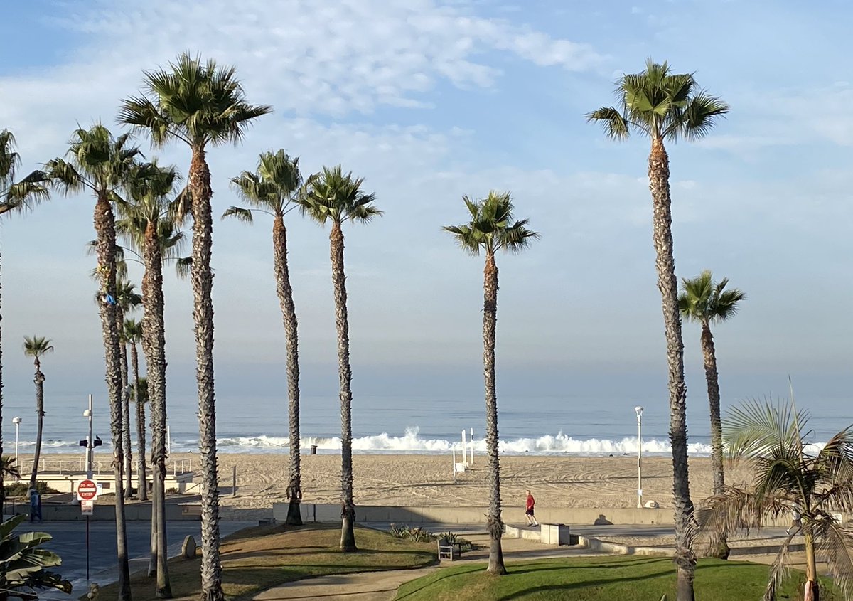 DrKunani's tweet photo. Morning ☕️ with this view #outrageouslyhappy https://t.co/16yMavGmNg