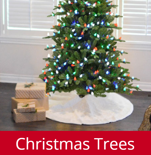 SipsAceHardware's tweet photo. Beat the crowd! Christmas trees are now available at Sip's Paint &amp; Ace Hardware! 🎄

#northeastco #sipspaint #acehardware #christmastree #holidaysale #holidaydecor #christmasdecor #longbranch https://t.co/9ZsjmvbwUO