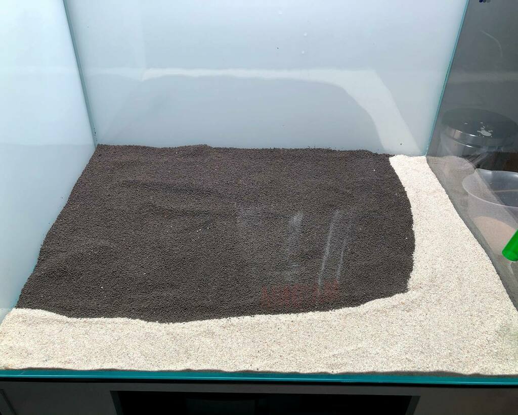 化粧砂 Twitter Search Twitter