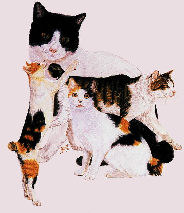 CatsShelf's tweet photo. A cat assures its owner of good luck.
Art: Japanese Bobtail collage by Barbara Keith
#catproverbs https://t.co/DoYy5xW9yL