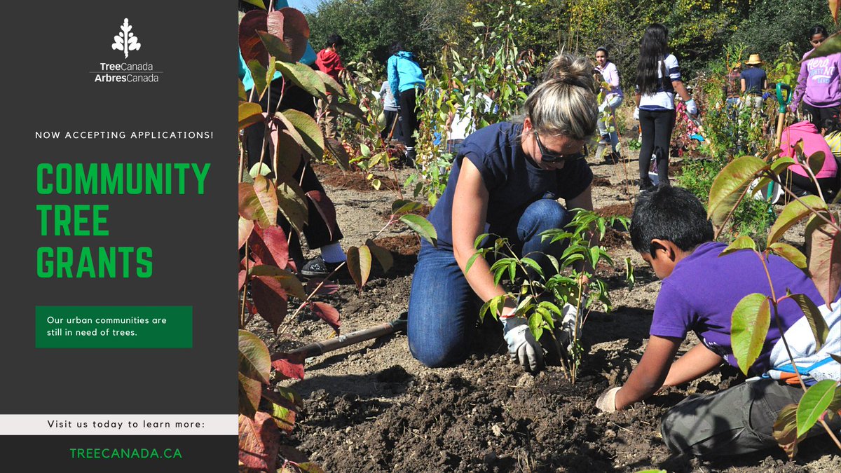 OntHSC's tweet photo. #ICYMI: @TreeCanada has launched their #CommunityTreeGrant applications! If you’re
planning an urban greening project in your community, apply before Nov. 30th. Learn more:
https://t.co/Xfr13RQKm7 #healthyschools https://t.co/IxJJZkMQmP