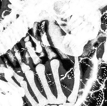 ᚐ𓊪 ˙  x̸  ⸝ ( $Ligen ) ˑ 𓈒 ลฟตท * ⚫ 𓏸