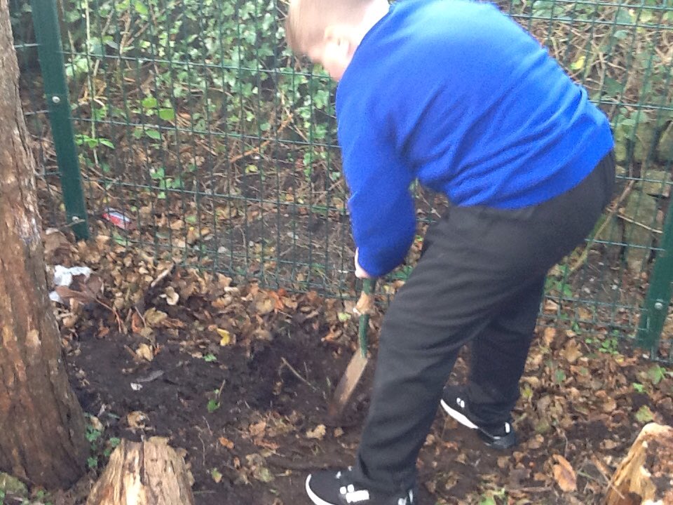 TroonHolly's tweet photo. Across the school last week we had some activities to promote wellbeing and regular 'brain breaks' one of the activities Holly Class enjoyed was planting in the woodland area https://t.co/I3kb7uiEub