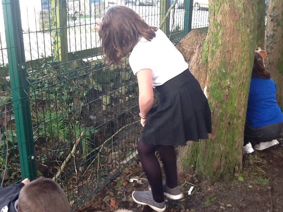 TroonHolly's tweet photo. Across the school last week we had some activities to promote wellbeing and regular 'brain breaks' one of the activities Holly Class enjoyed was planting in the woodland area https://t.co/I3kb7uiEub