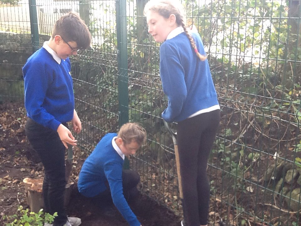 Across the school last week we had some activities to promote wellbeing and regular 'brain breaks' one of the activities Holly Class enjoyed was planting in the woodland area