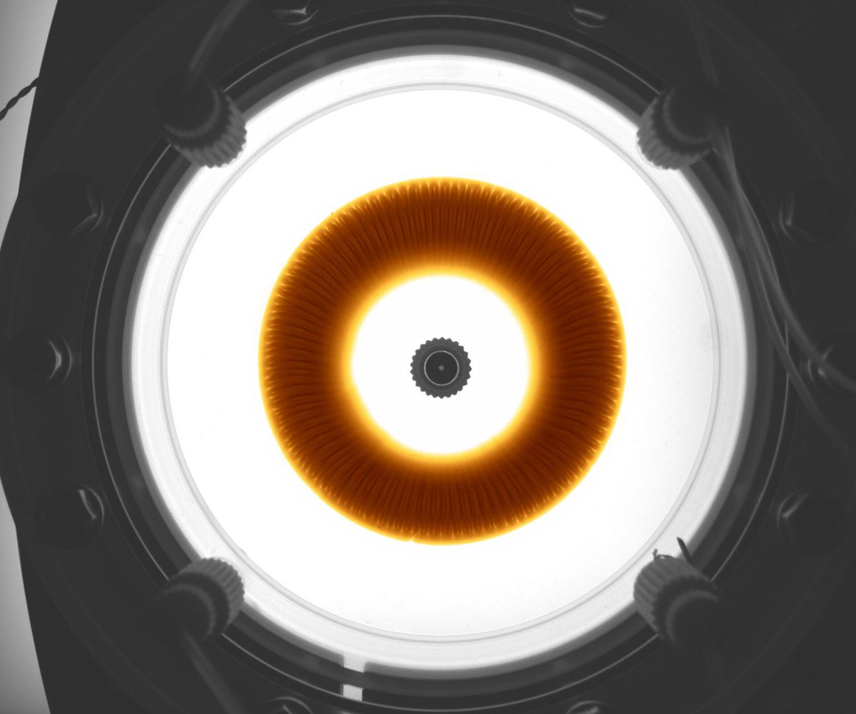 maximaxoo's tweet photo. #Space: what resembles a #donut or the #iris of an eye is actually a #LiquidCell illuminated from below, under #VariableGravity conditions
πβπ¨ https://t.co/FiiBnFSOG1 via @esa https://t.co/qX6pJCudv0