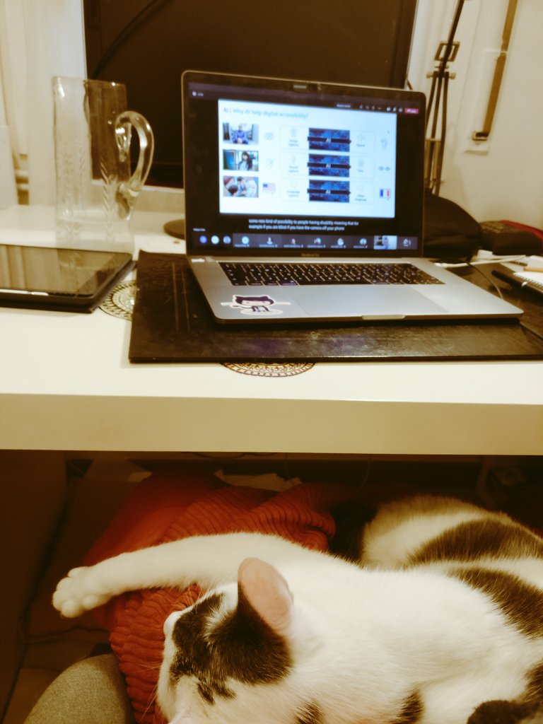 Mar_UXer's tweet photo. There was a sneaky intruder during today's Microsoft workshop on Accessibility by @tromey and @Philippe_Trotin :)
Don't let him fool you, he was paying close attention (as we all were).
#AXAEngineeringSummit #DigitalGOInclusive https://t.co/gIiVtAdL6I