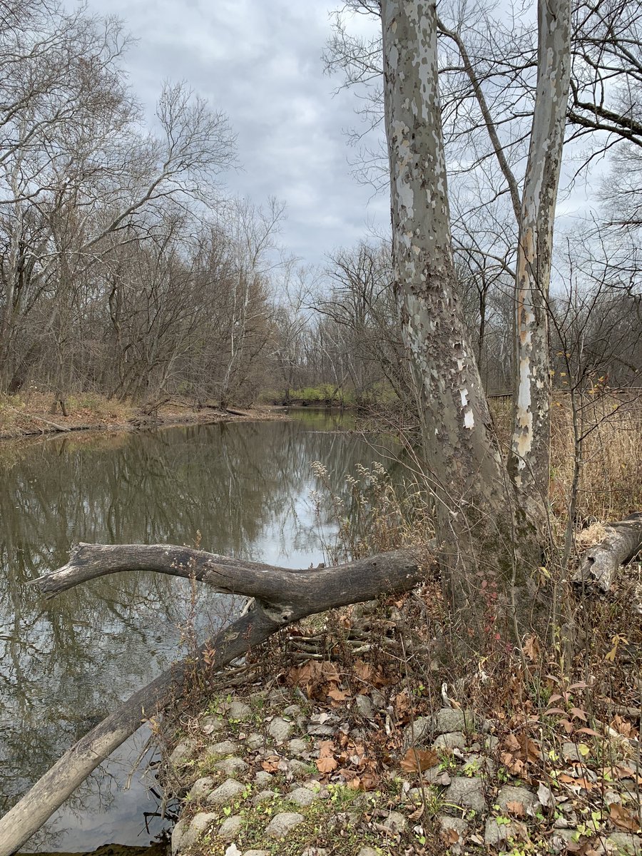 Cscc_LangInst's tweet photo. ๐ฟ๐ Iโve been outside todayโ have you?
What #grammar #tense is โhave beenโ? Let us know your answer in the comments!
#natureisamazing #grammartenses #eslgrammar #EnglishTeacher #CSCC https://t.co/sQ5nt0q7wP