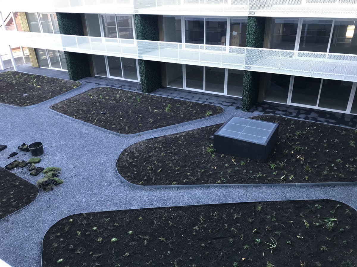 Maas-Jacobs tweet media