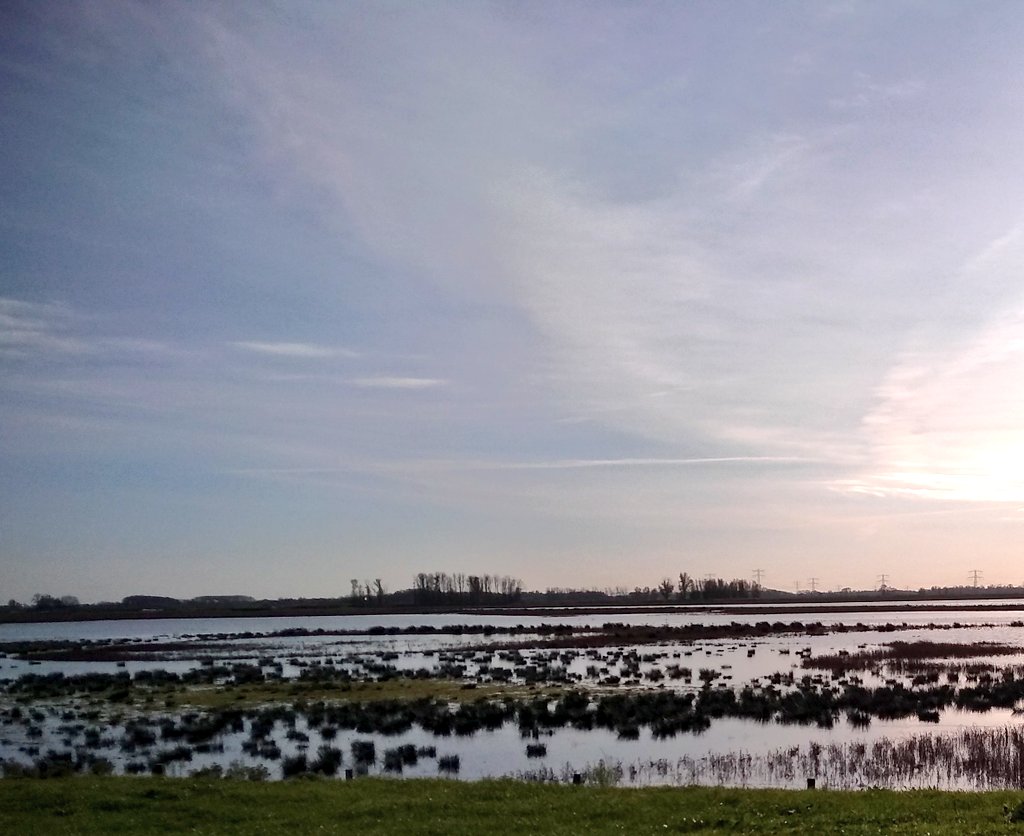 Komende maand komt de Afifauna van de Biesbosch uit (biesboschboek.nl). Een pil van dik 500p. Zojuist Sander Terlouw, een van de auteurs, geïnterviewd op een vd mooiere vogelplekken aldaar. Resultaat binnenkort oa in stadgorinchem.nl @DeJongAlbert <a href="/ArnoldMeijer/">Arnold Meijer | Blue Robin dtp</a>