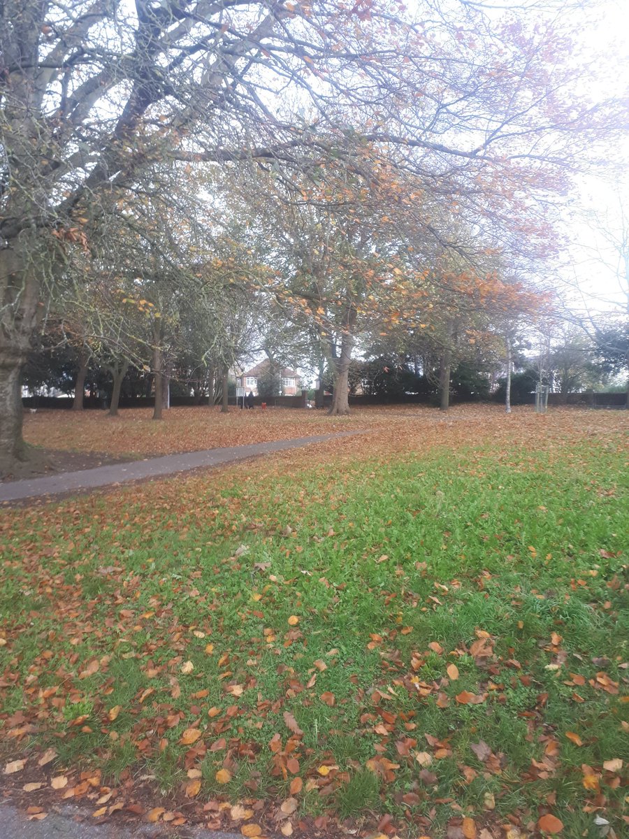 runderfulruns's tweet photo. Homefield park run review... 🤣 https://t.co/T5rZuW6mGS #running #runningmotivation #homefieldpark #worthing #runners #5k #runningblogger #dailyexercise #blogger #runningjourney #1kandagooddeedaday https://t.co/iaL5Z6DVhg