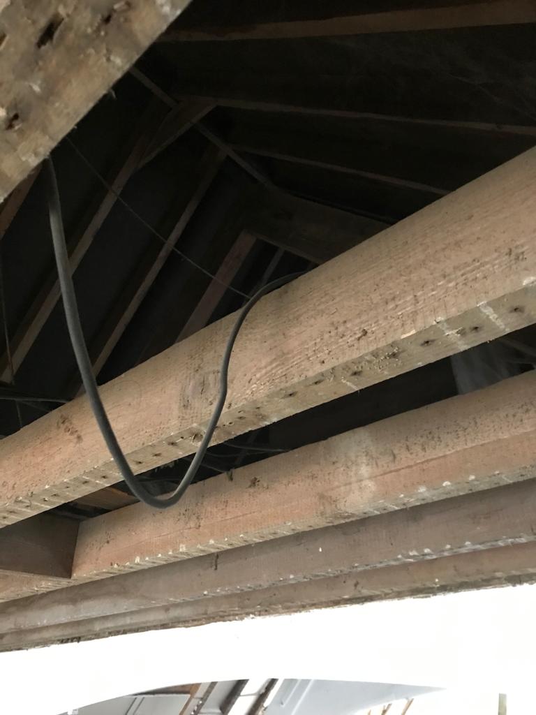 Ceiling repairs coming on well