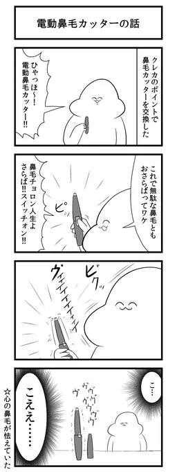 電動鼻毛カッターの話 