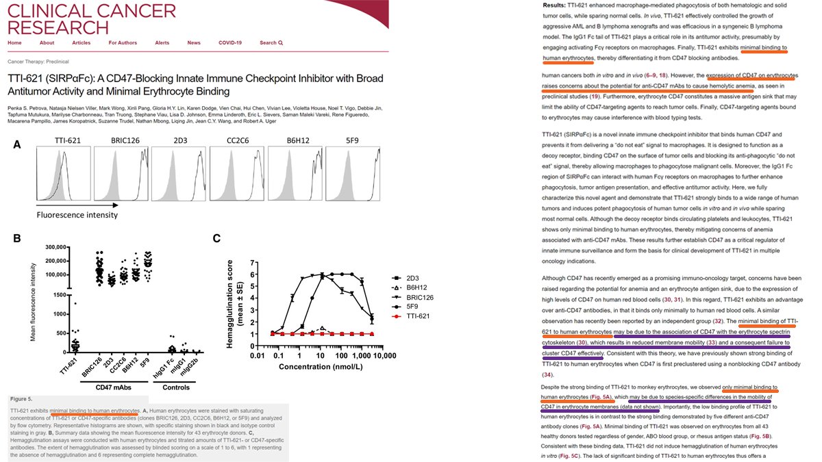 Has  $TRIL ever suggested a reason for WHY its drugs don't bind to human red blood cells?2017 paper in deck suggests: "association of  #CD47 w erythrocyte spectrin cytoskeleton, which results in reduced membrane mobility & failure to cluster CD47 effectively" $ALXO  $IMAB  $STTK