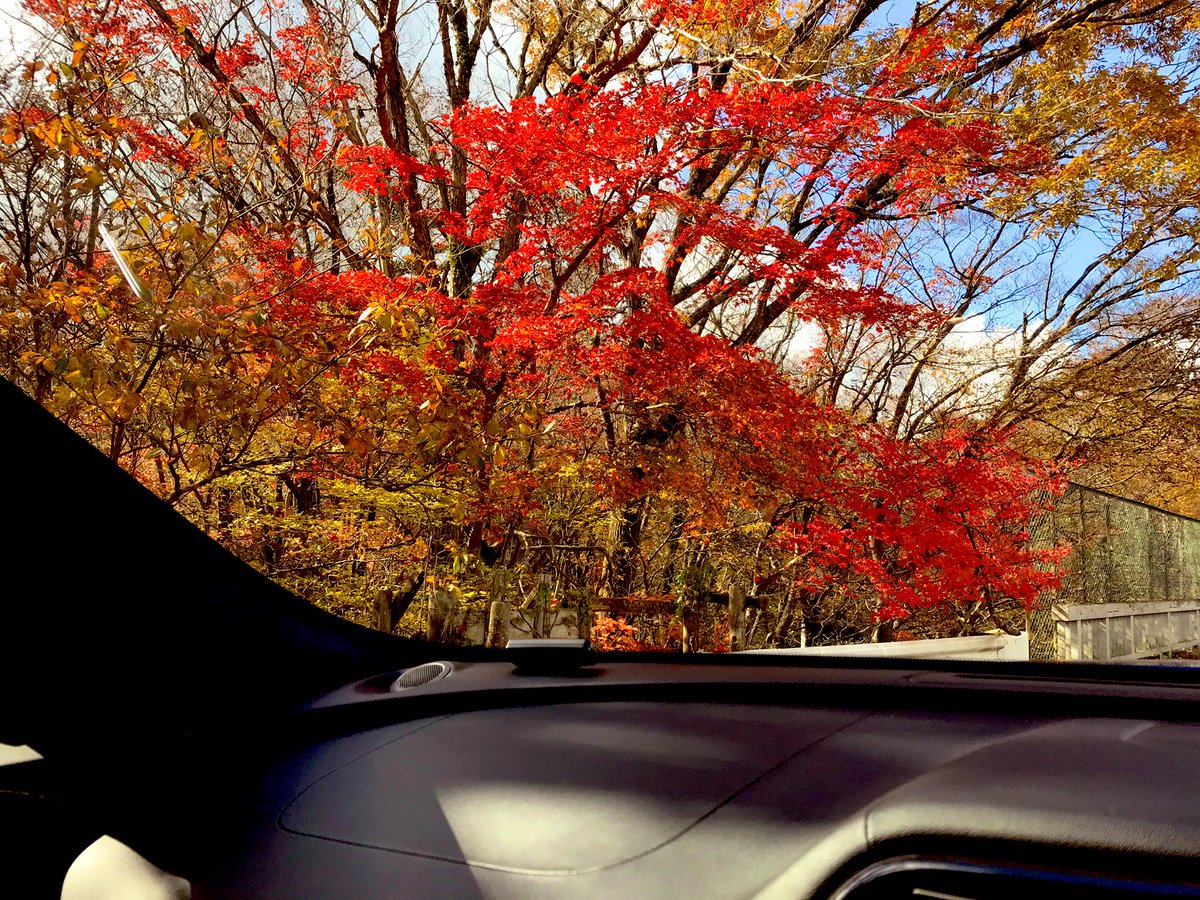 PeterParker_210's tweet photo. @JaguarJPN #ThroughYourWindow
#FPACE #่ปๅ
ใใใฎๆฏ่ฒ https://t.co/7Ndy8jVJr3