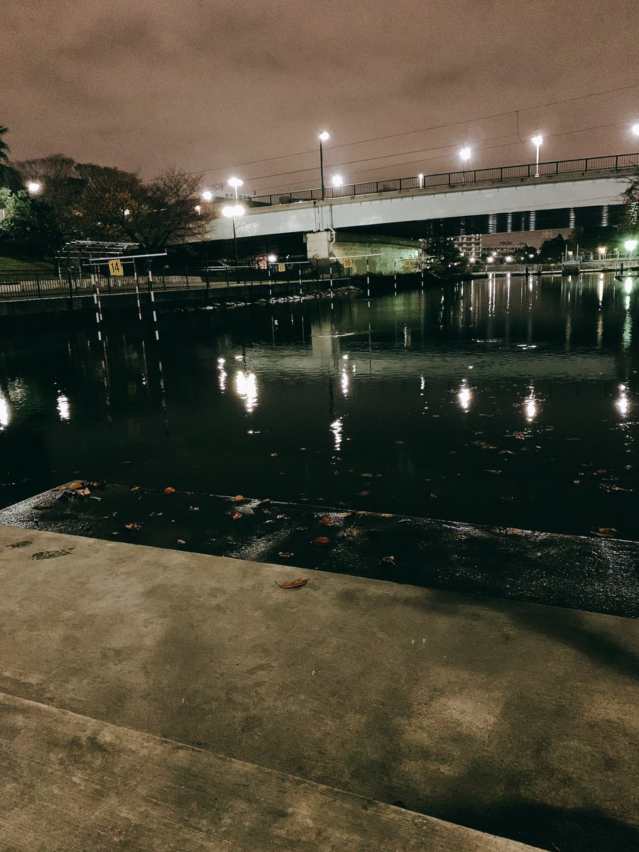 ます虫 新左近川ハゼ釣り調査 新左近川 ハゼ釣り 穴釣り