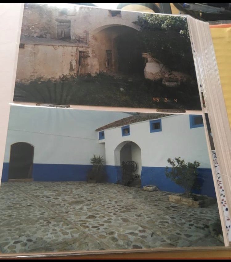 MataMangos Bodegas tweet media