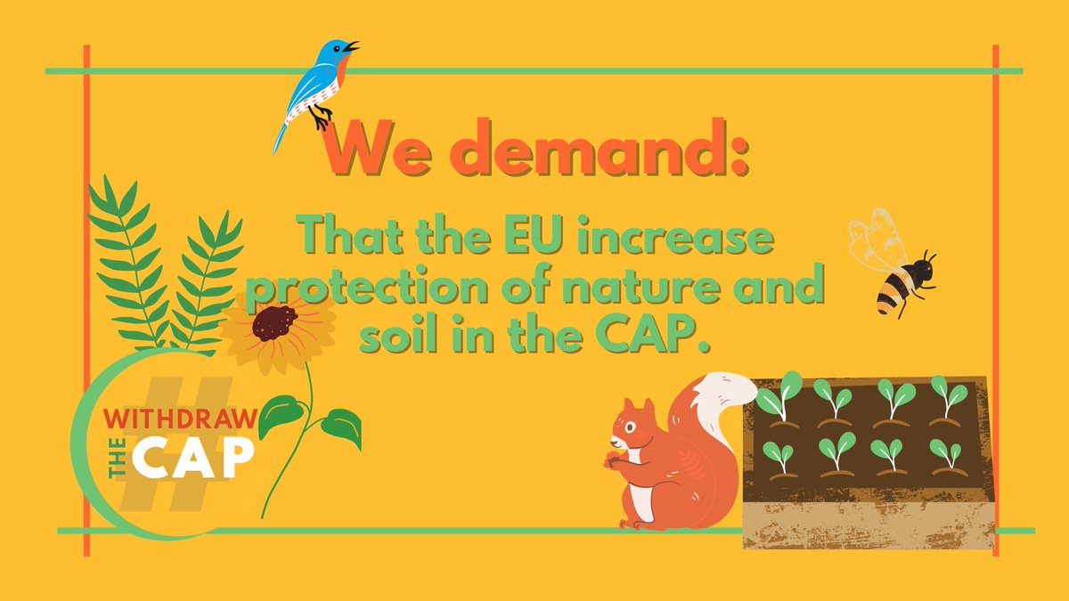 6) We demand that the EU increases the protection of nature and soil in the CAP.Lastly, it is paramount that the EU act radically to increase the protection of nature through the CAP. This would include, but is not limited to:
