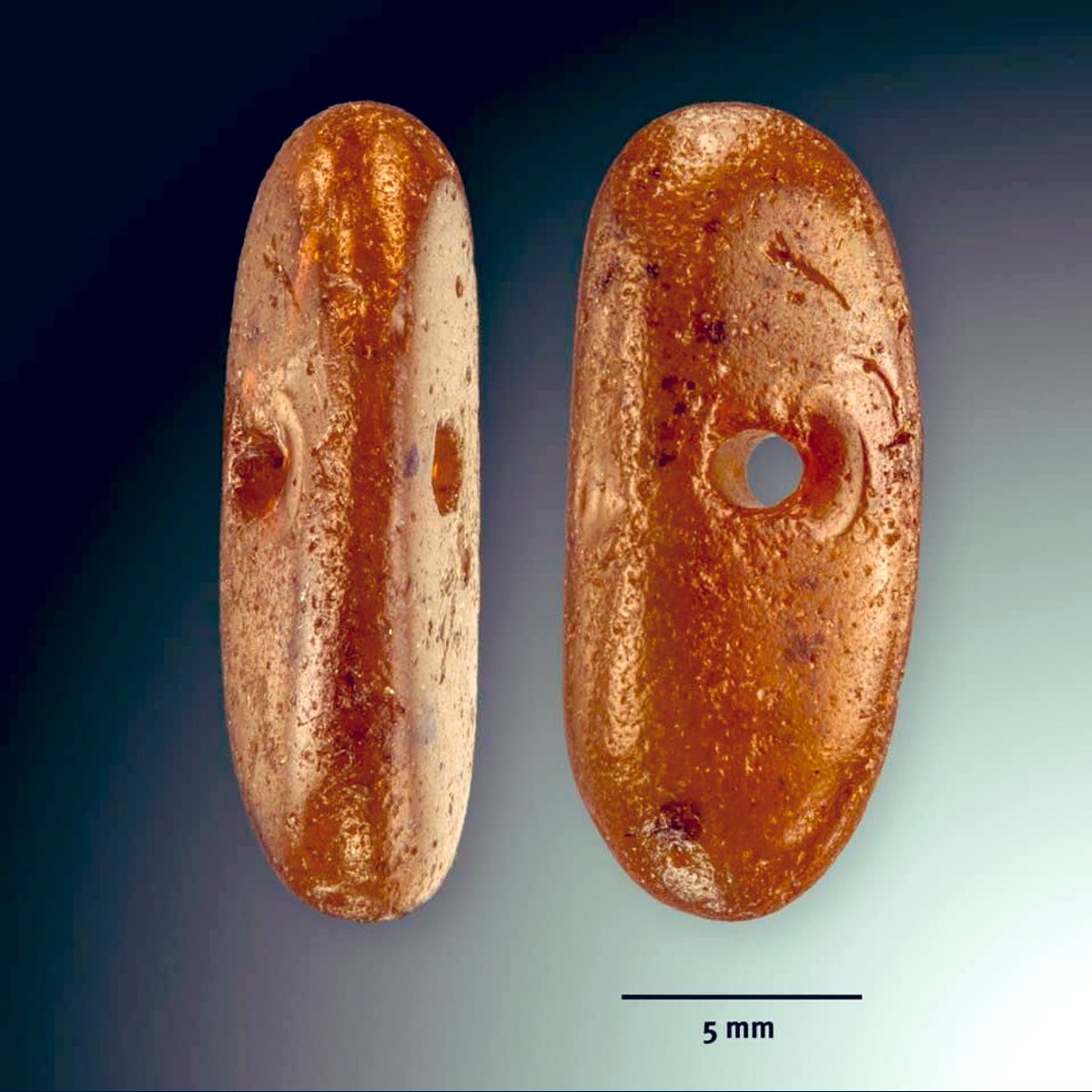 prehistoryRMO's tweet photo. For #FindsFriday this beautiful #amber bead found by Willly v. Wingerden @DeZandmotor and photographed by #Toonbeeld/Frans de Vries. It may date to the #Mesolithic...or perhaps later? The perforation is rather straight. Parallels welcome! #Doggerland @RM_Oudheden 2031🌊💪 https://t.co/DGo4VKseDg