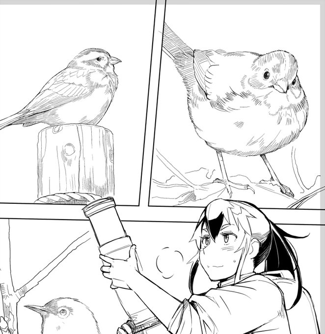 宣伝じゃ

身近な鳥をちまちま描いています 