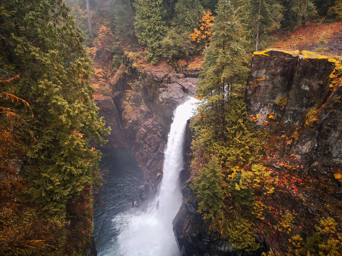 #FlashbackFriday to the beautiful (and free to visit) Elk Falls Provincial Park near Campbell River on Vancouver Island 🇨🇦