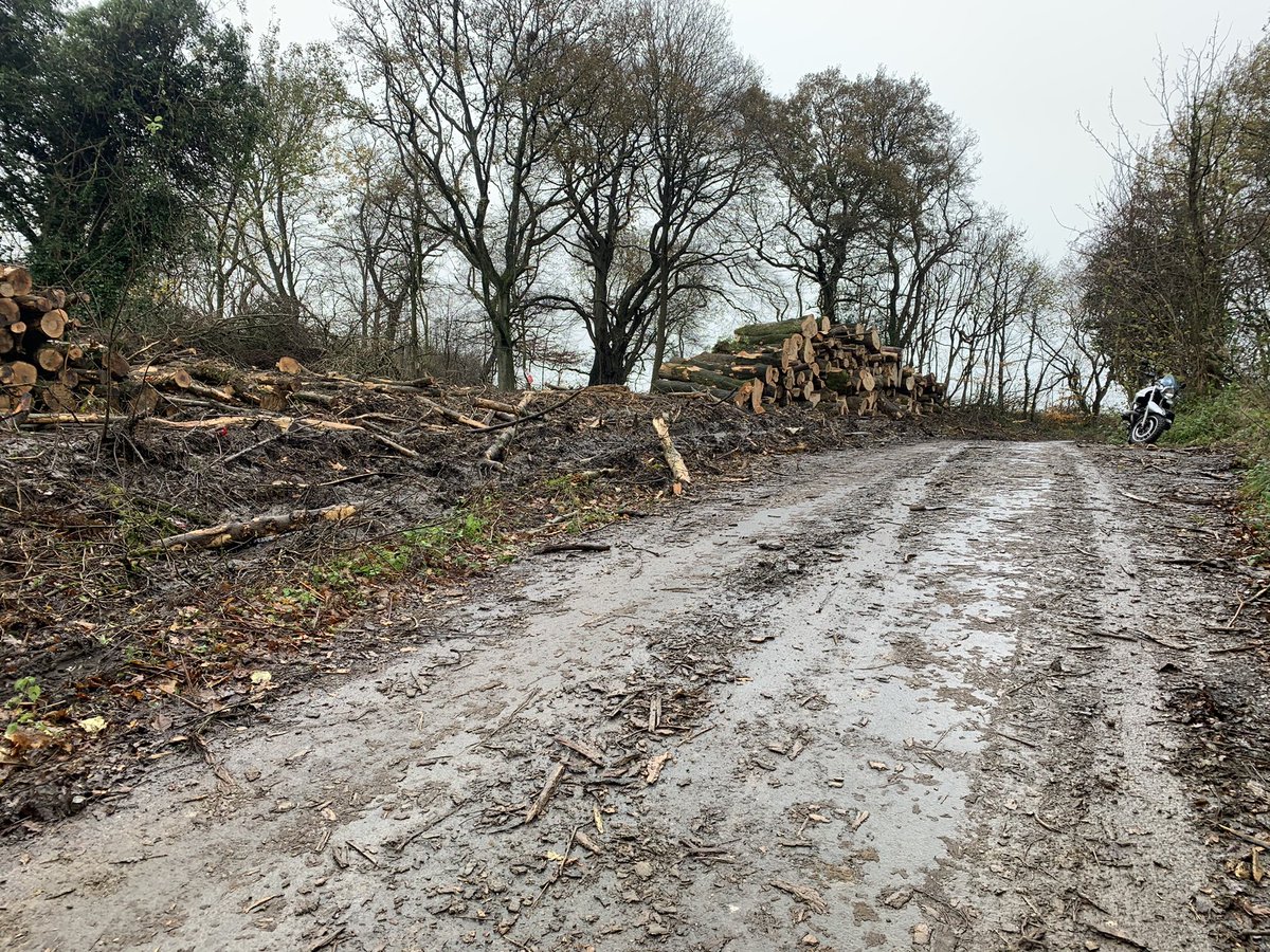 Garry Beckett tweet media