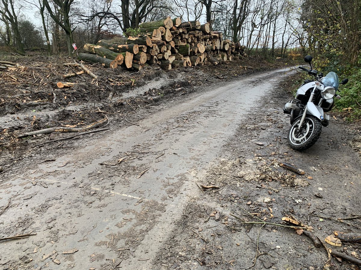 Garry Beckett tweet media