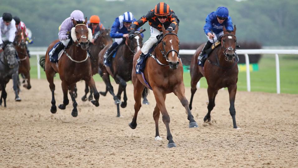 Another trip to @NewcastleRaces this evening. I have three booked rides at their all-weather track. 4:15 Markazi 4:45 Daniel Deronda 6:15 Betsey Trotter