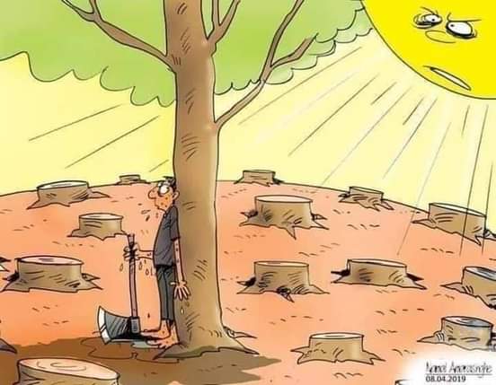 ruunjamac's tweet photo. Human stupidity can't be explained better than this picture.😥

Please Plant trees Plant hope 🌳❤🌳 https://t.co/jbfyULL9zZ