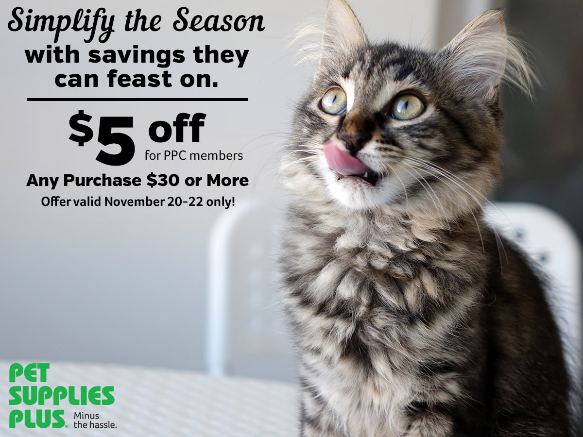 pet supplies plus dollar per gallon sale 2019